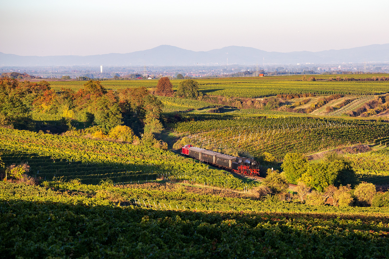 Oktoberdampf in der Pfalz (2)