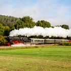 Oktoberdampf in der Pfalz (4)