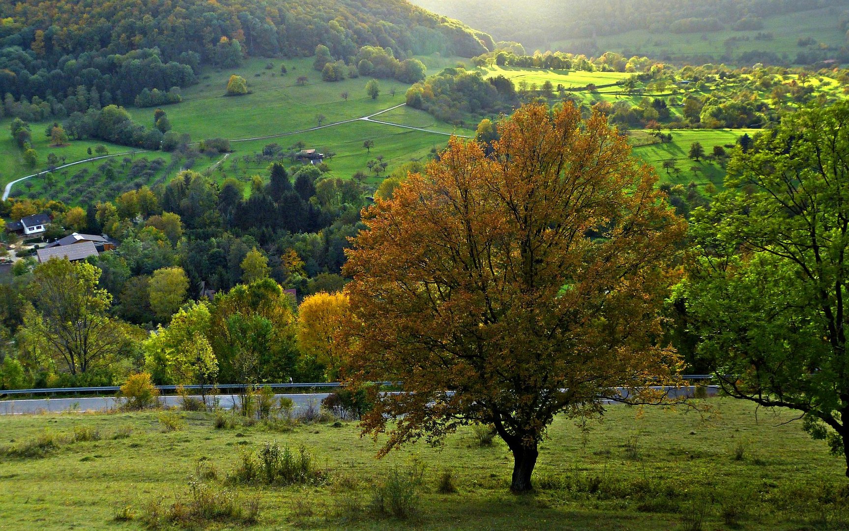 Oktoberfarben***