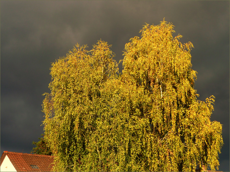 Oktoberfarben