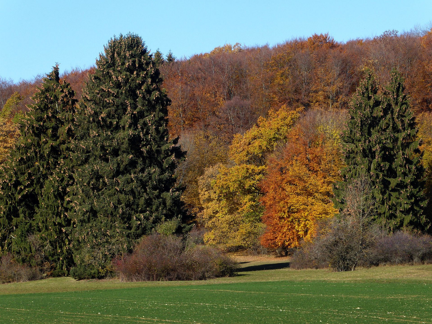 Oktoberfarben****