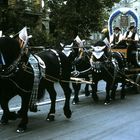 Oktoberfest Festzug (1)