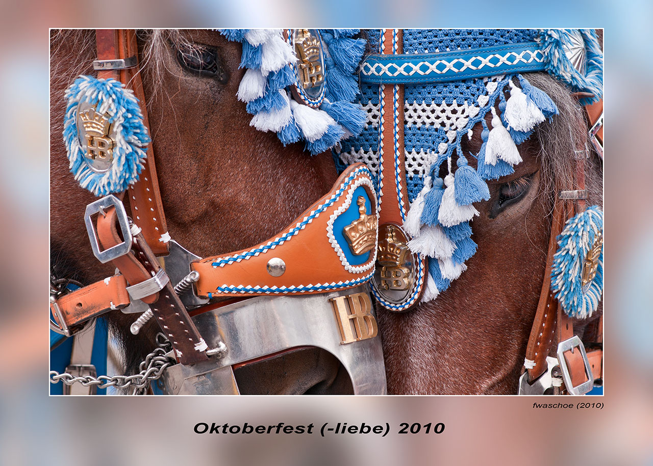 Oktoberfest (-liebe) 2010