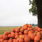 Oktoberfrüchte