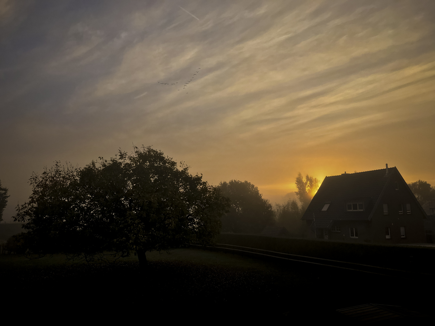 Oktoberlicht 2018 (1)