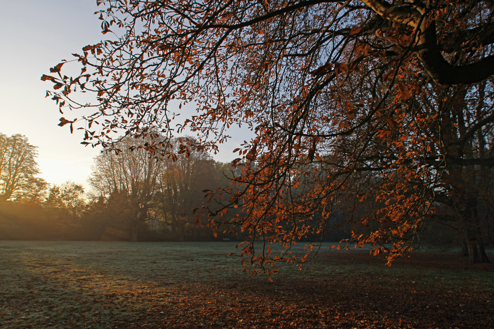 Oktoberlicht