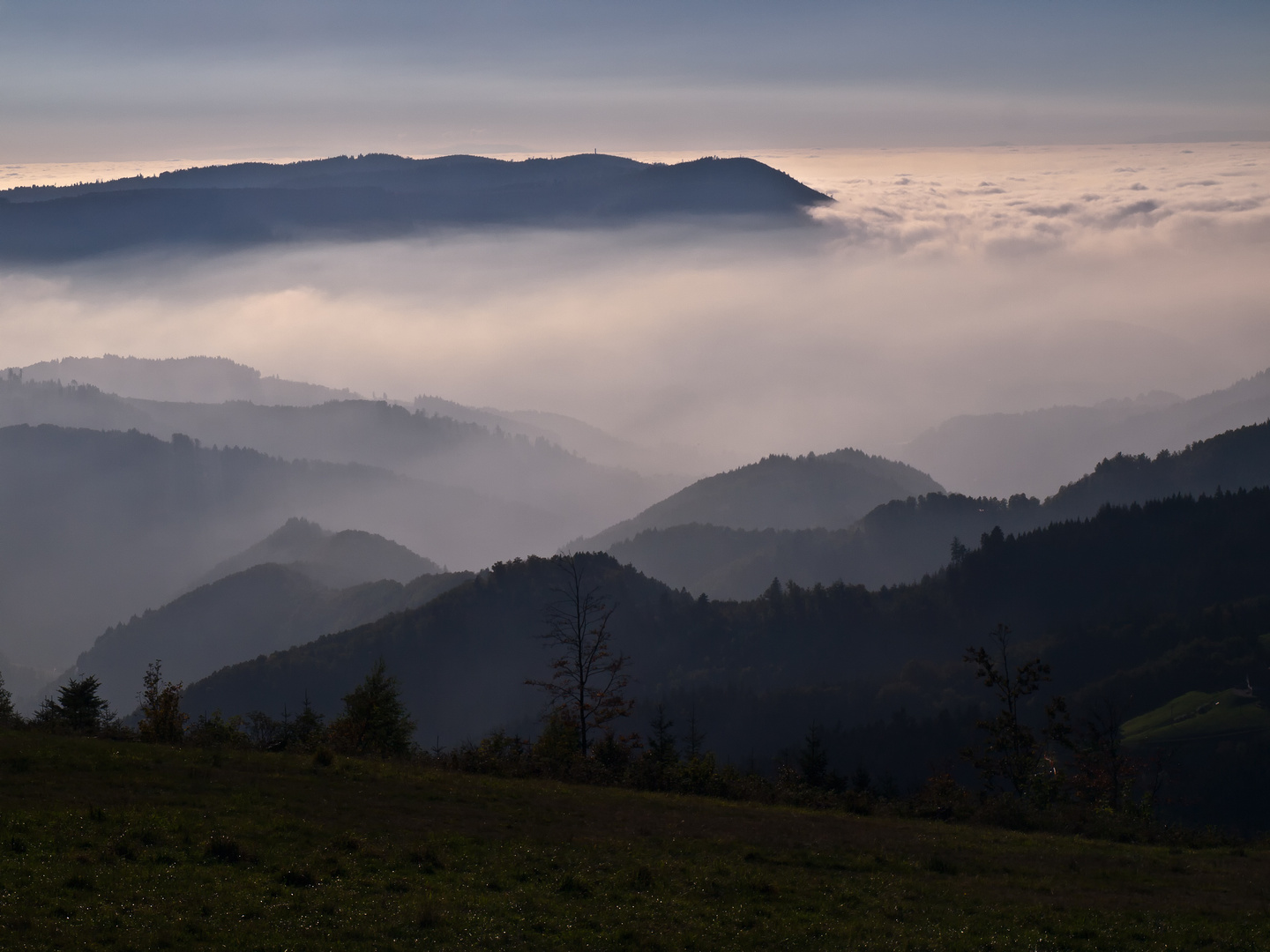 Oktoberlicht