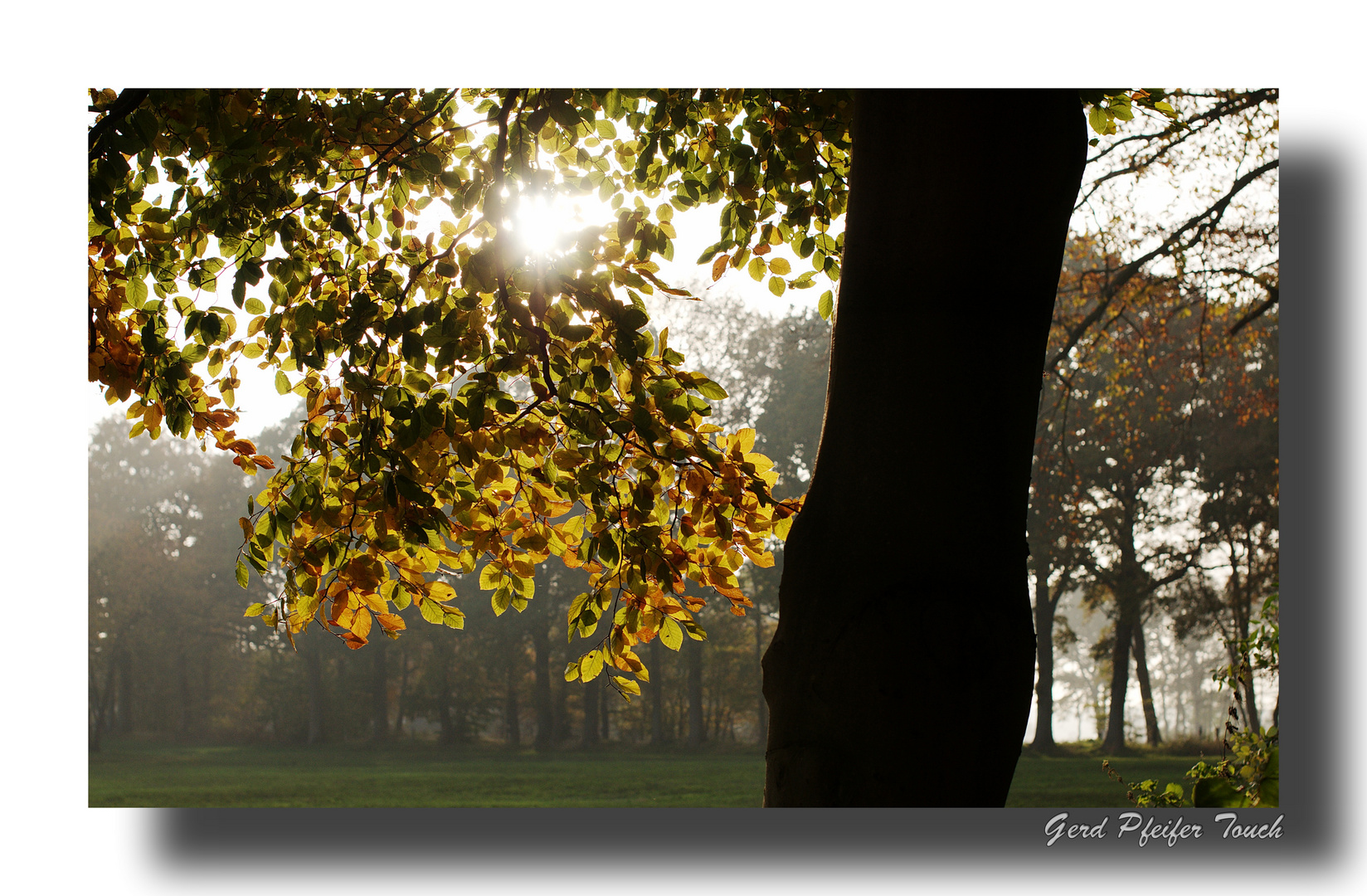 Oktoberlicht