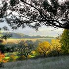 Oktoberlied - October song - Chanson D'Octobre - Ottobre canzone - Octubre canción 2