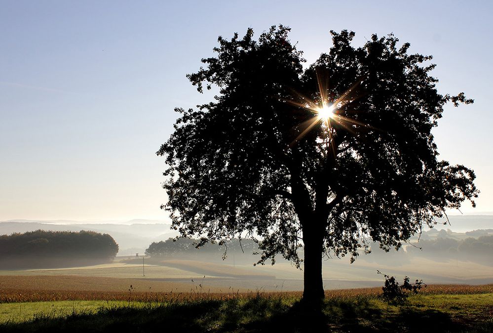 Oktobermorgen