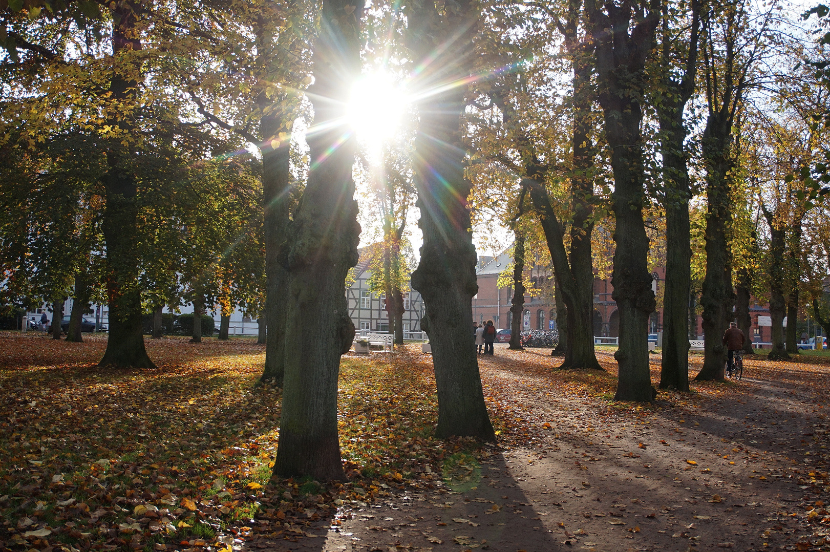 Oktobermorgen 2019 1 