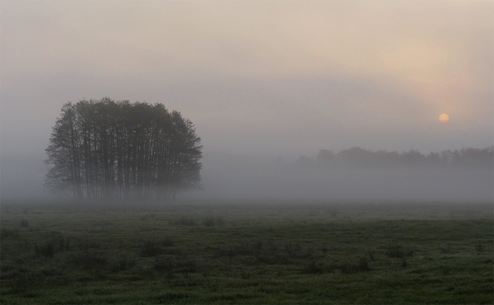 Oktobermorgen