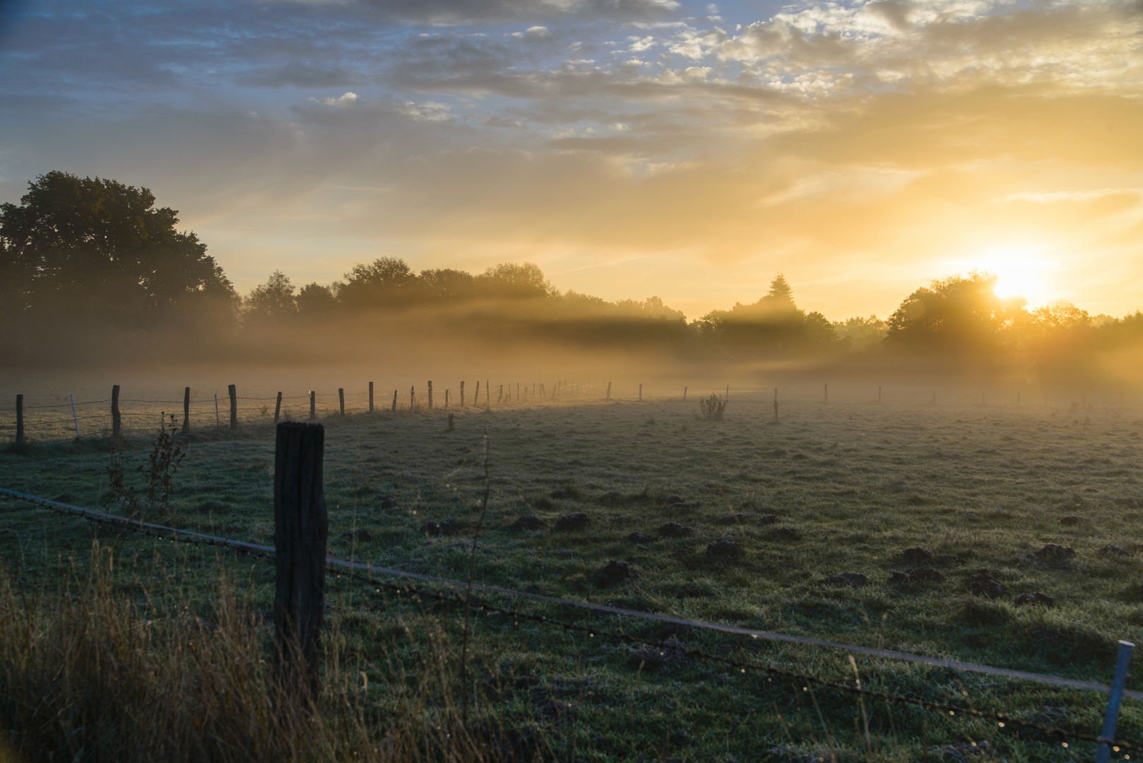 [ Oktobermorgen ]