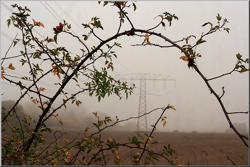 oktobermorgen