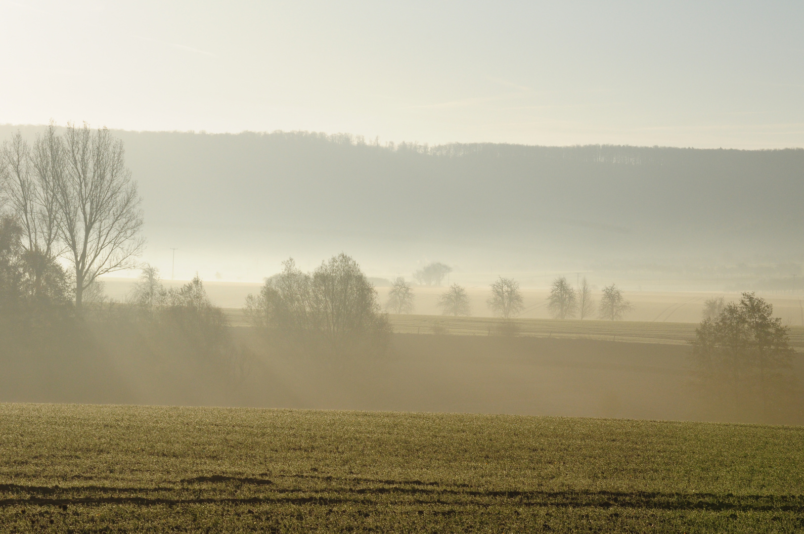 Oktobermorgen