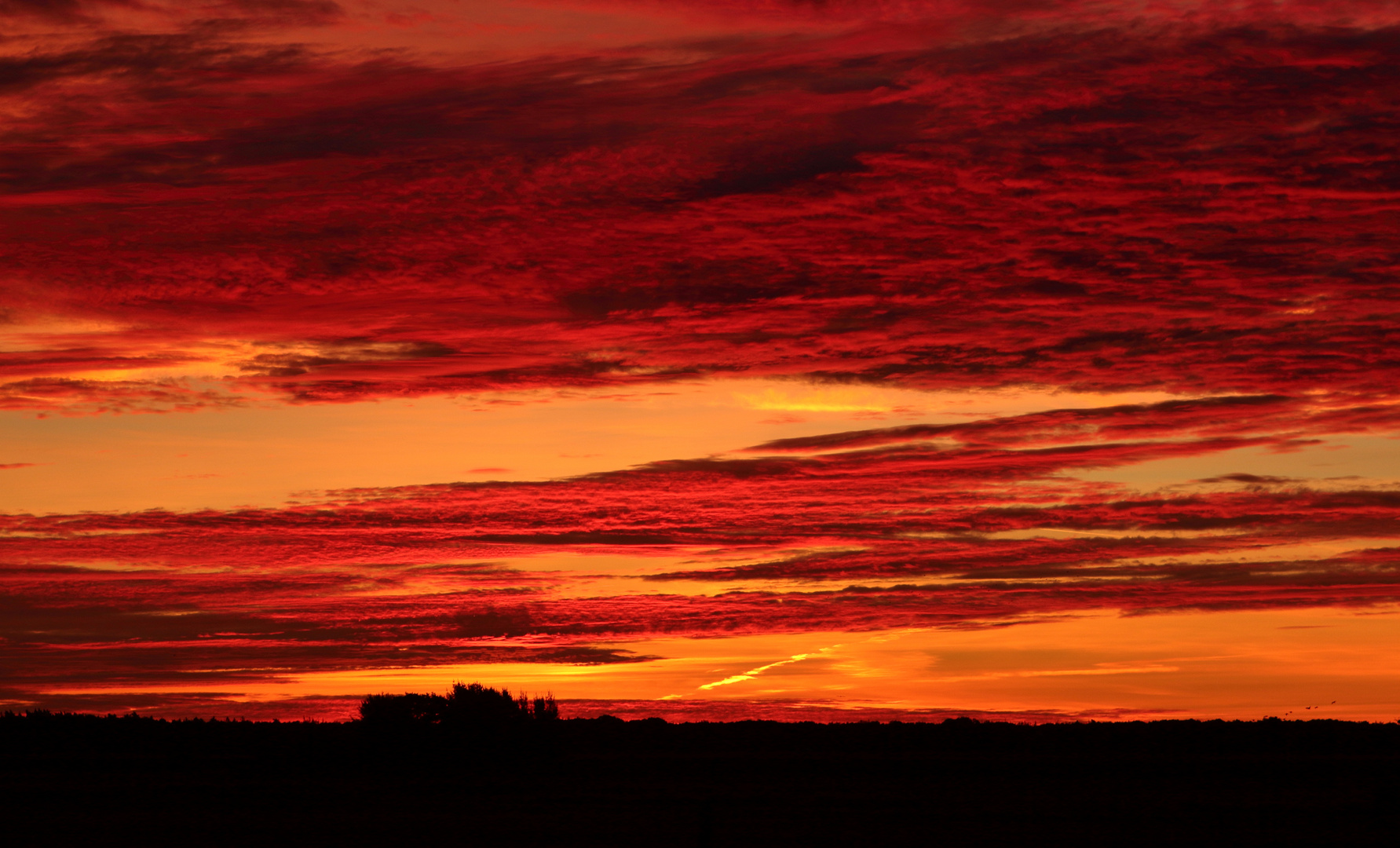 Oktobermorgen am Zingster Bodden