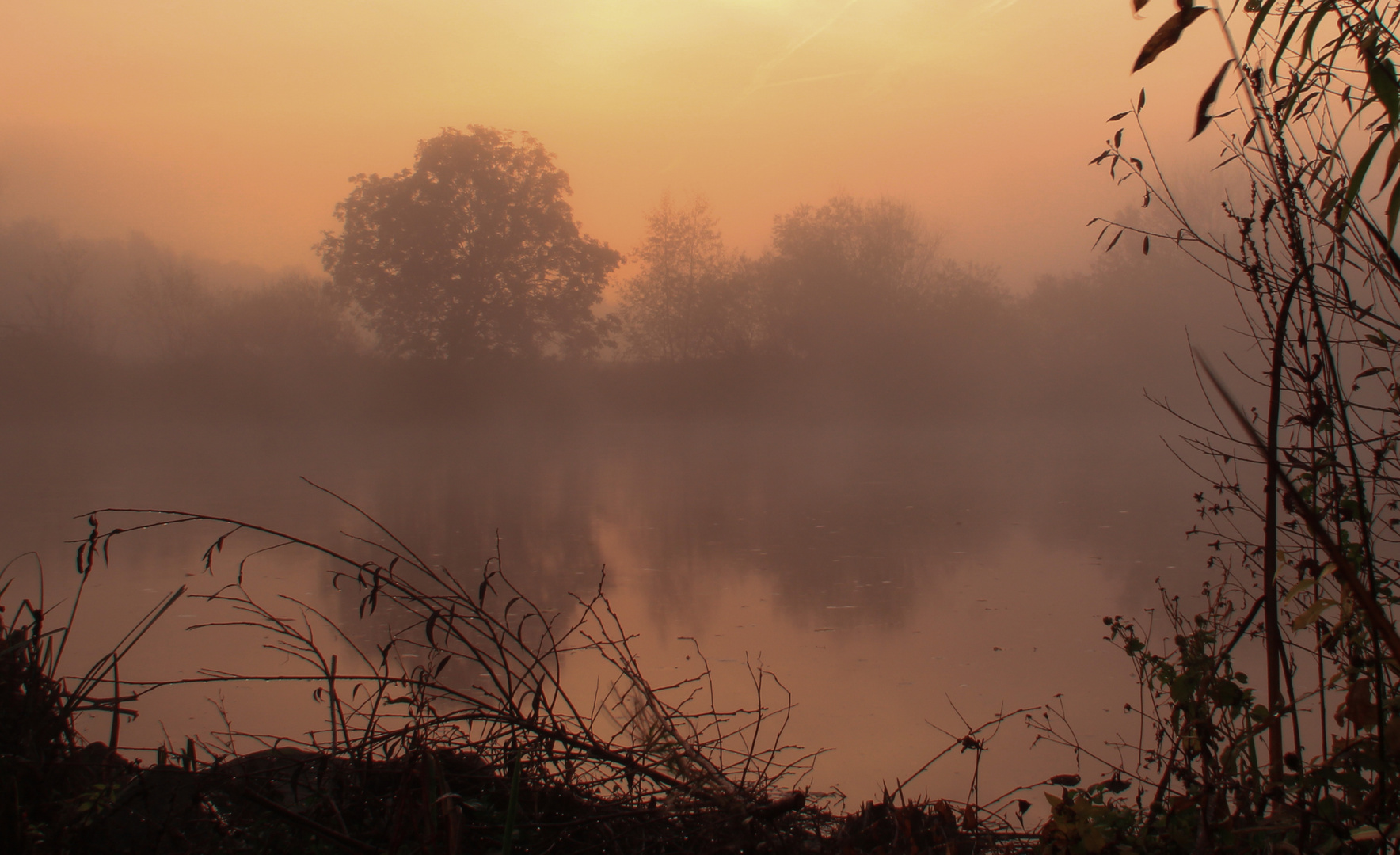 Oktobermorgen an der Ruhr 2 von 5