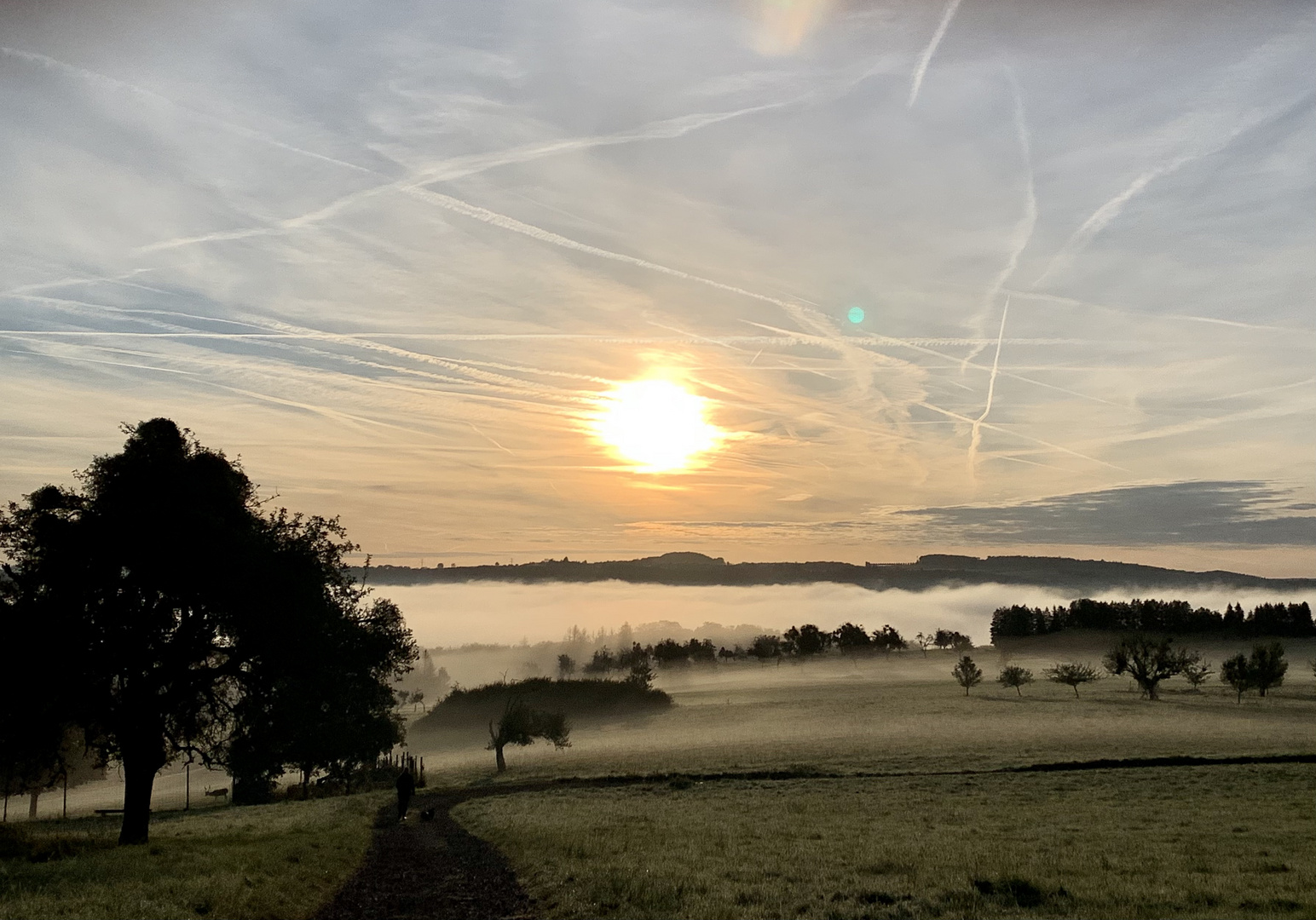 OktoberMorgen ‚Auf dem Ehrlich‘ bei Nassau