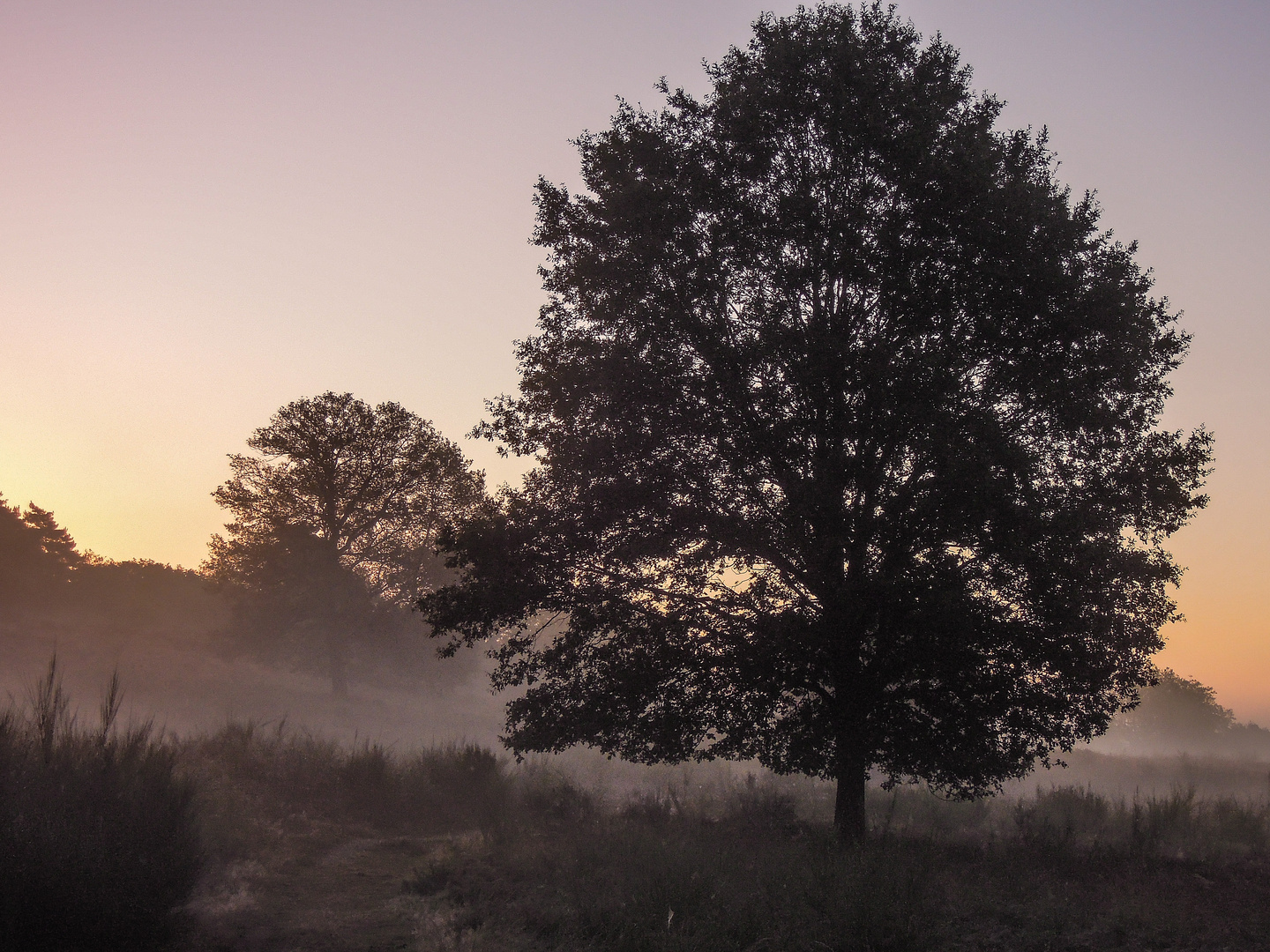 Oktobermorgen