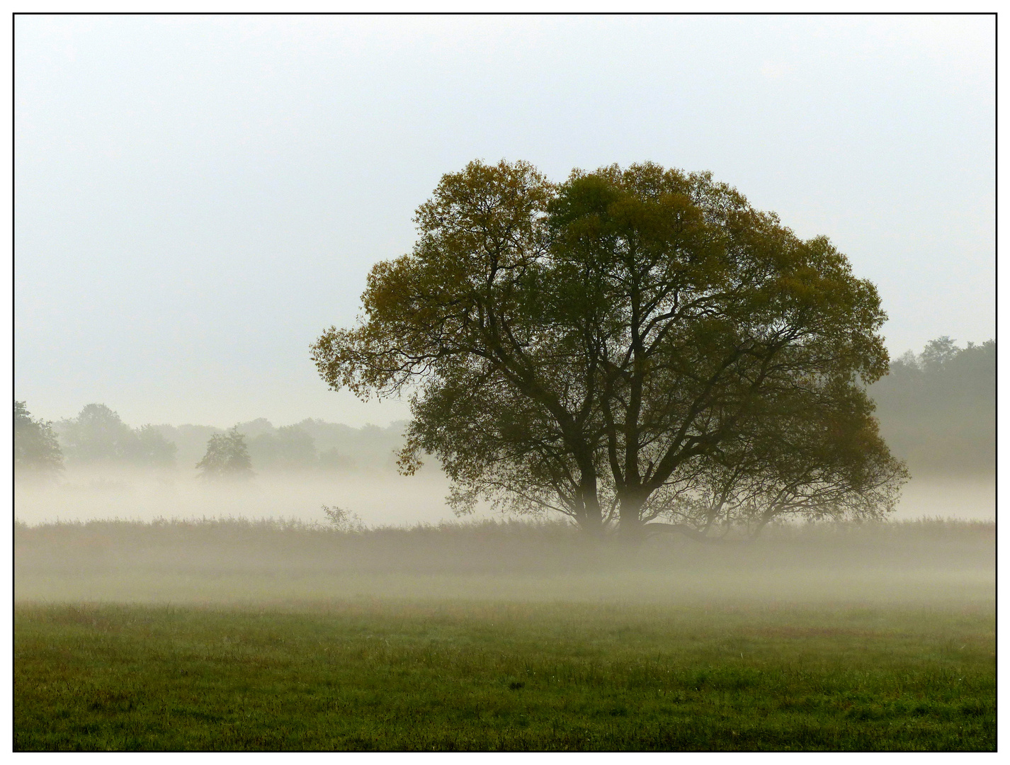 Oktobermorgen...