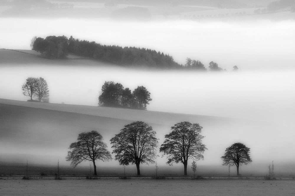 Oktobermorgen von Kai Heidrich 