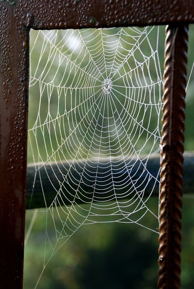 Oktobermorgen