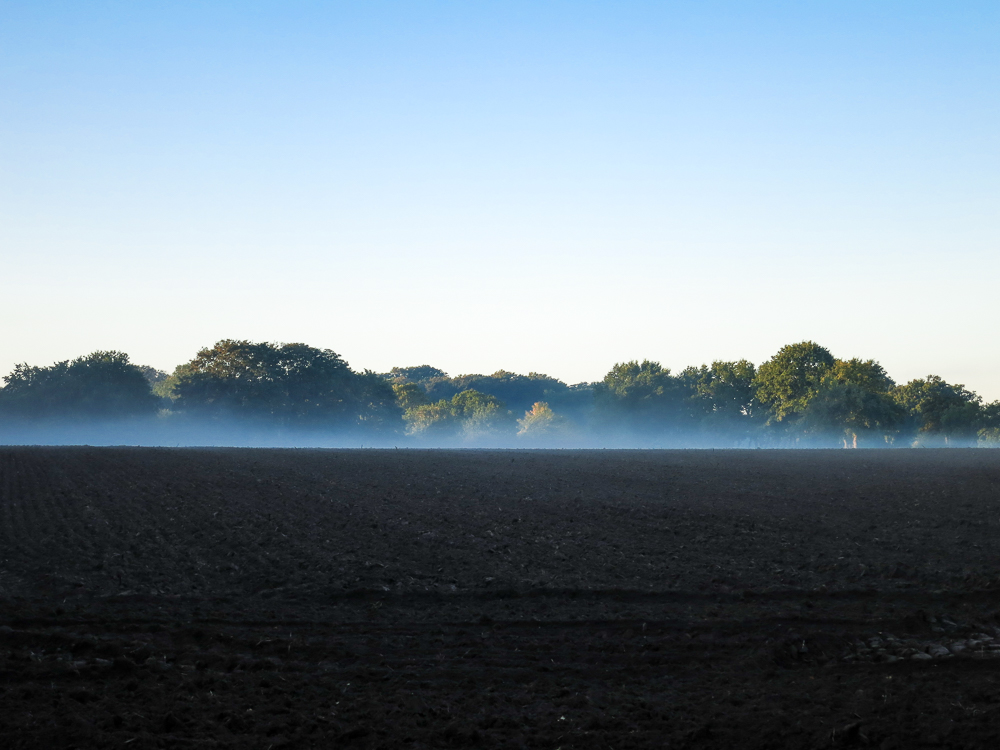 Oktobermorgen