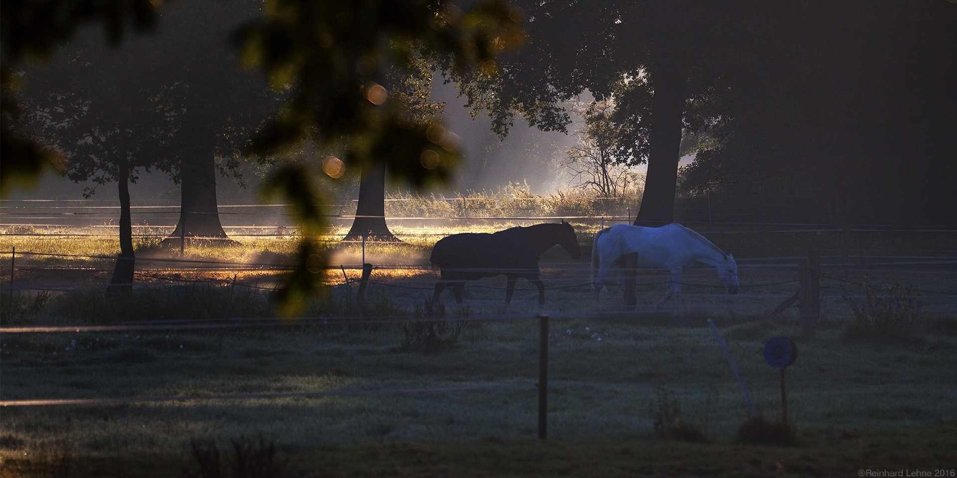 Oktobermorgen