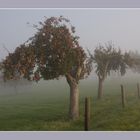 Oktobermorgen im Nebel