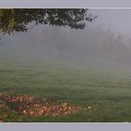 Oktobermorgen im Nebel II