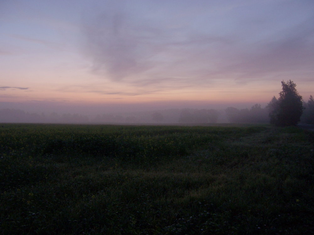 Oktobermorgen im Vogtland