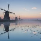 Oktobermorgen in Kinderdijk