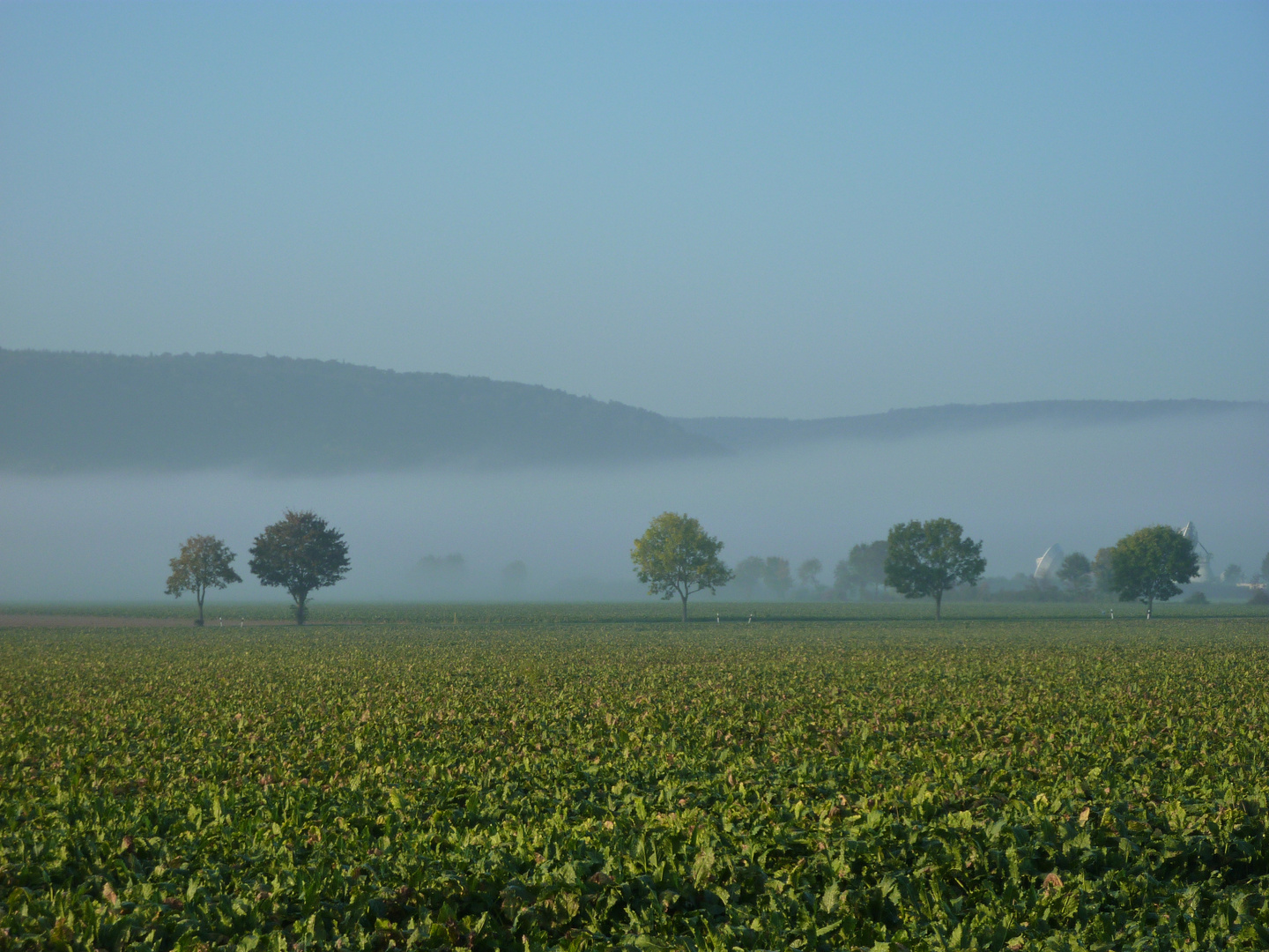 Oktobermorgennebel