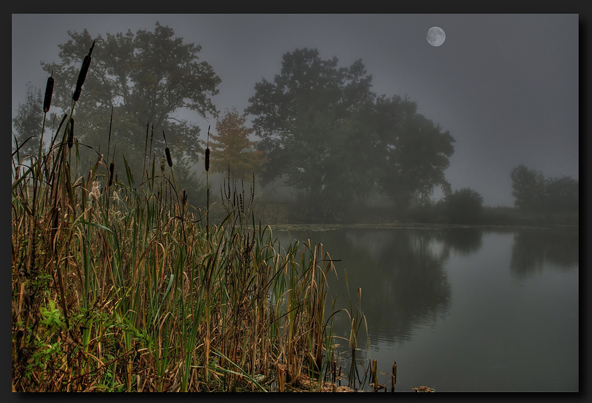 Oktobernebel