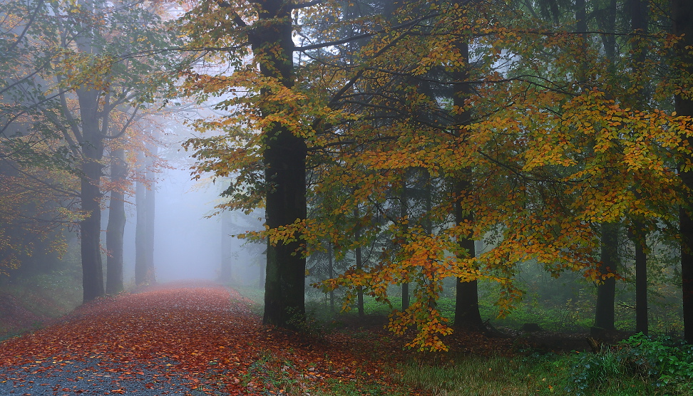 Oktobernebel