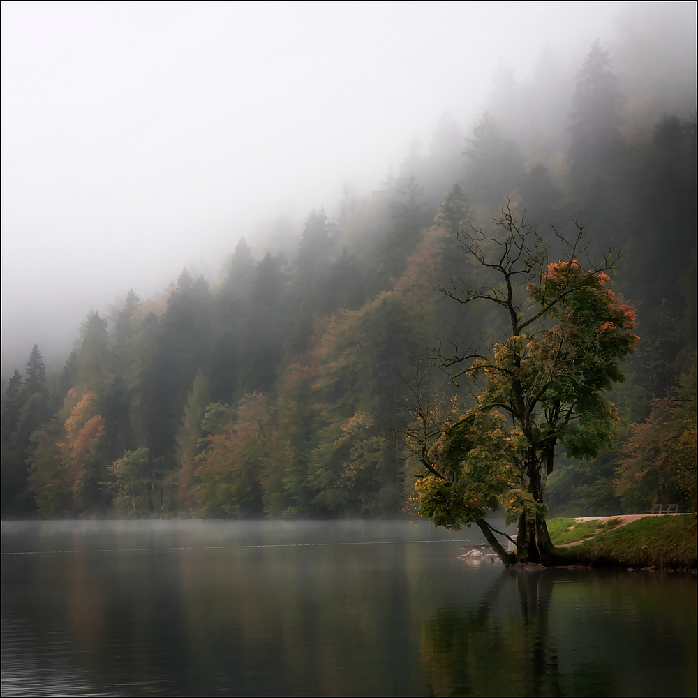 Oktobernebel