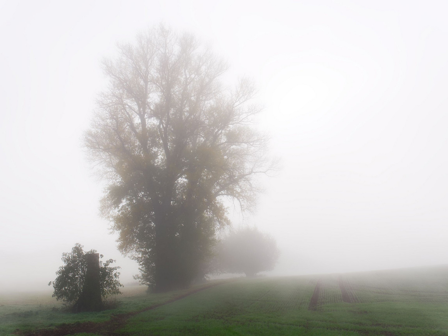 Oktobernebel