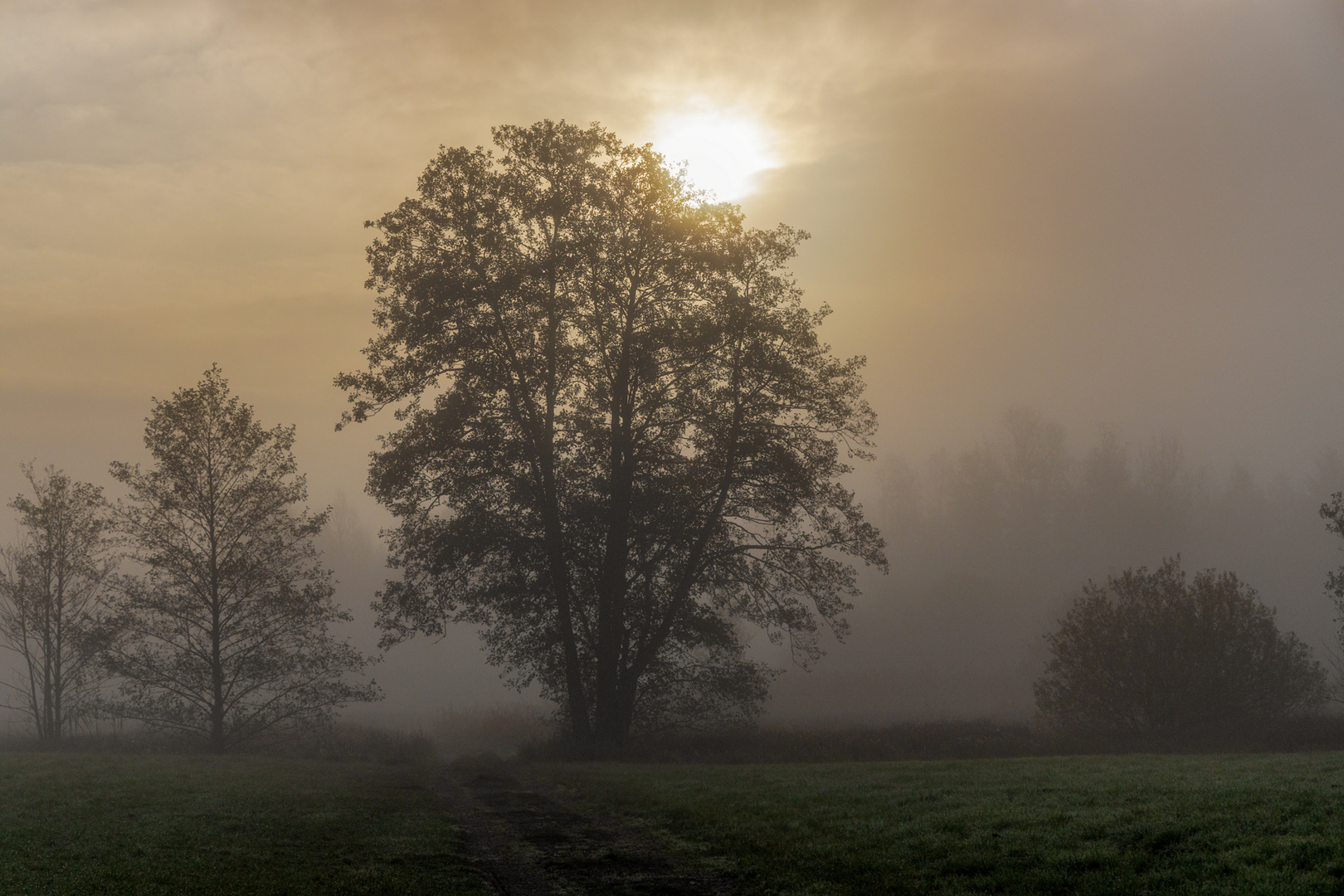 Oktobernebel