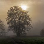 Oktobernebel