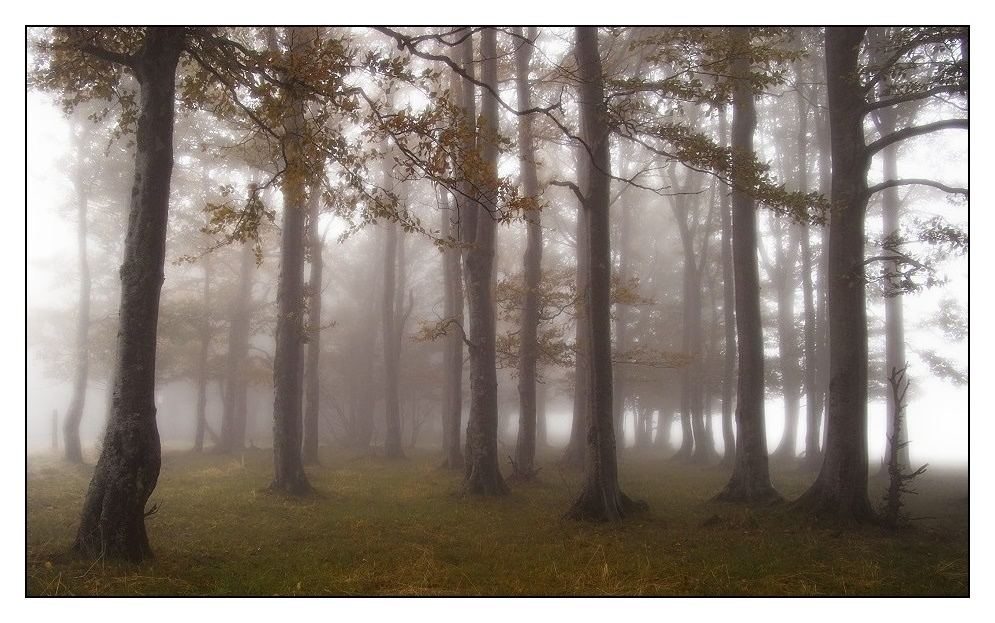 Oktobernebel