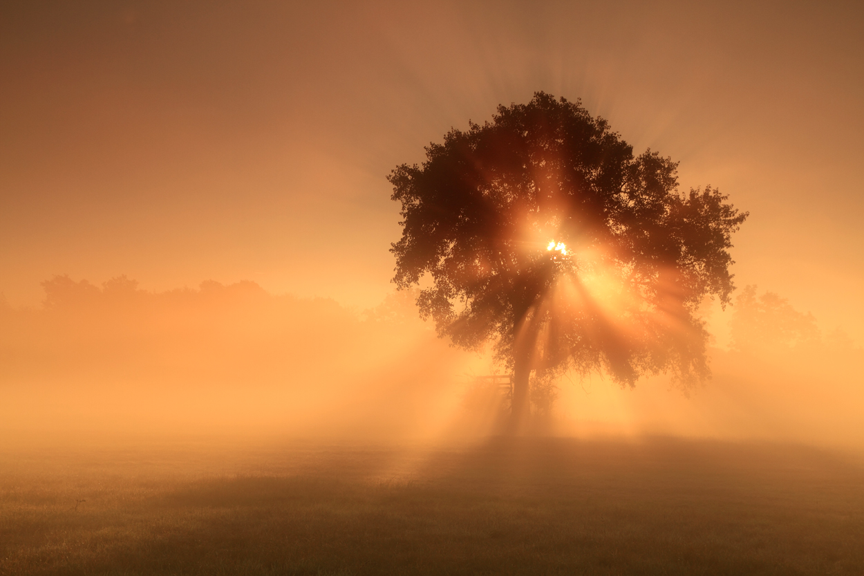 Oktobernebel