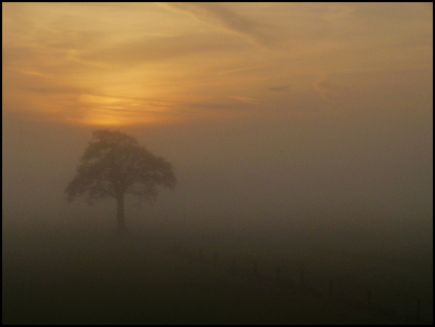 Oktobernebel