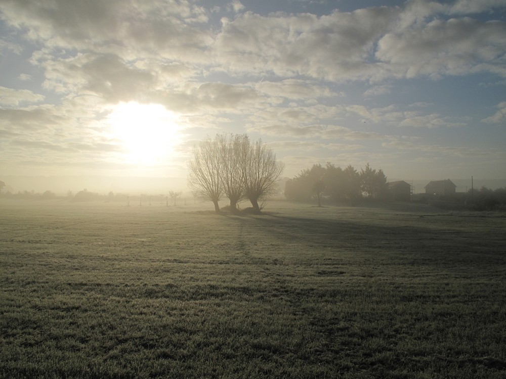 Oktobernebel