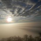 Oktobernebel im HEGAU