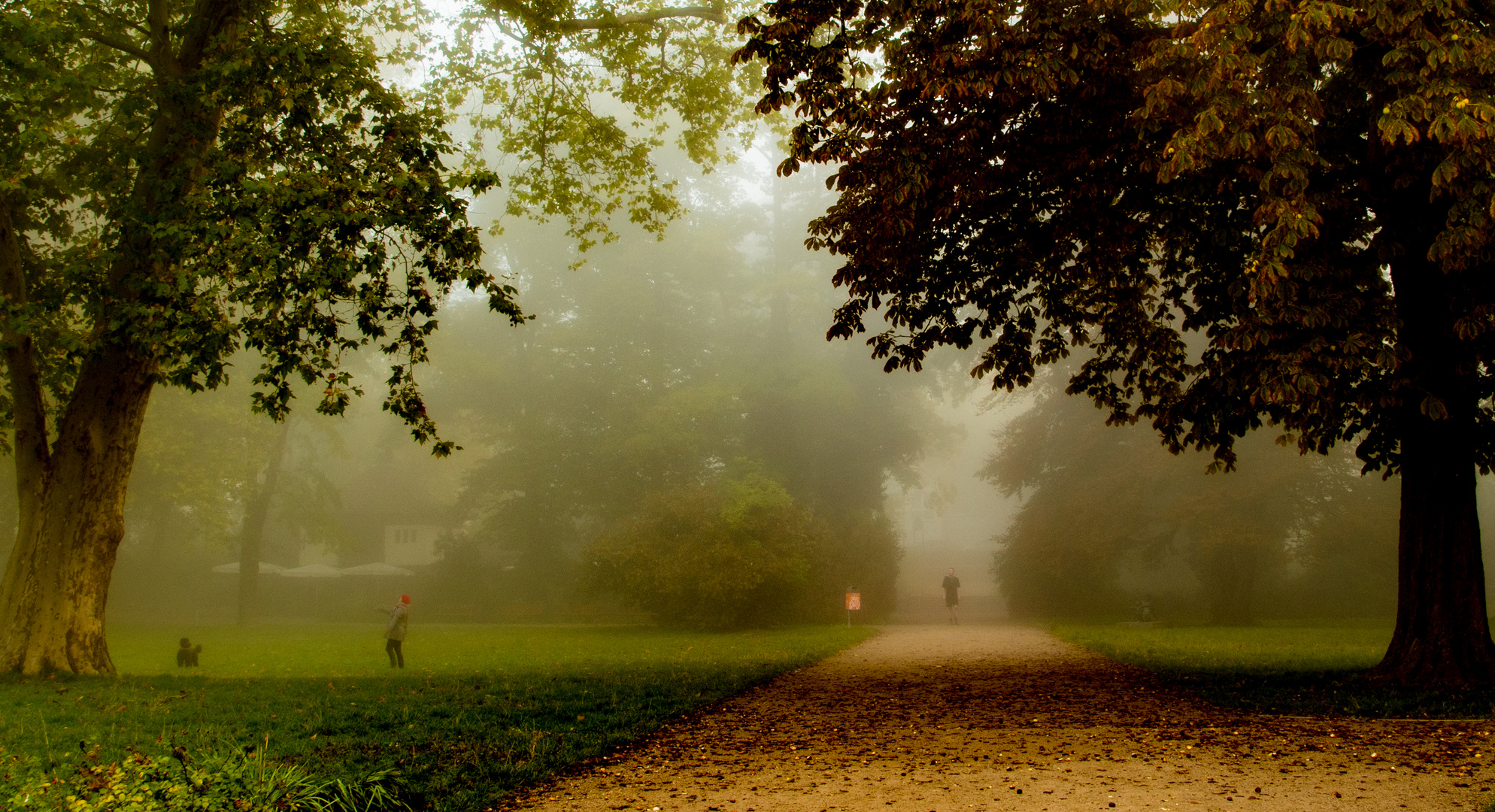  Oktobernebel im Park