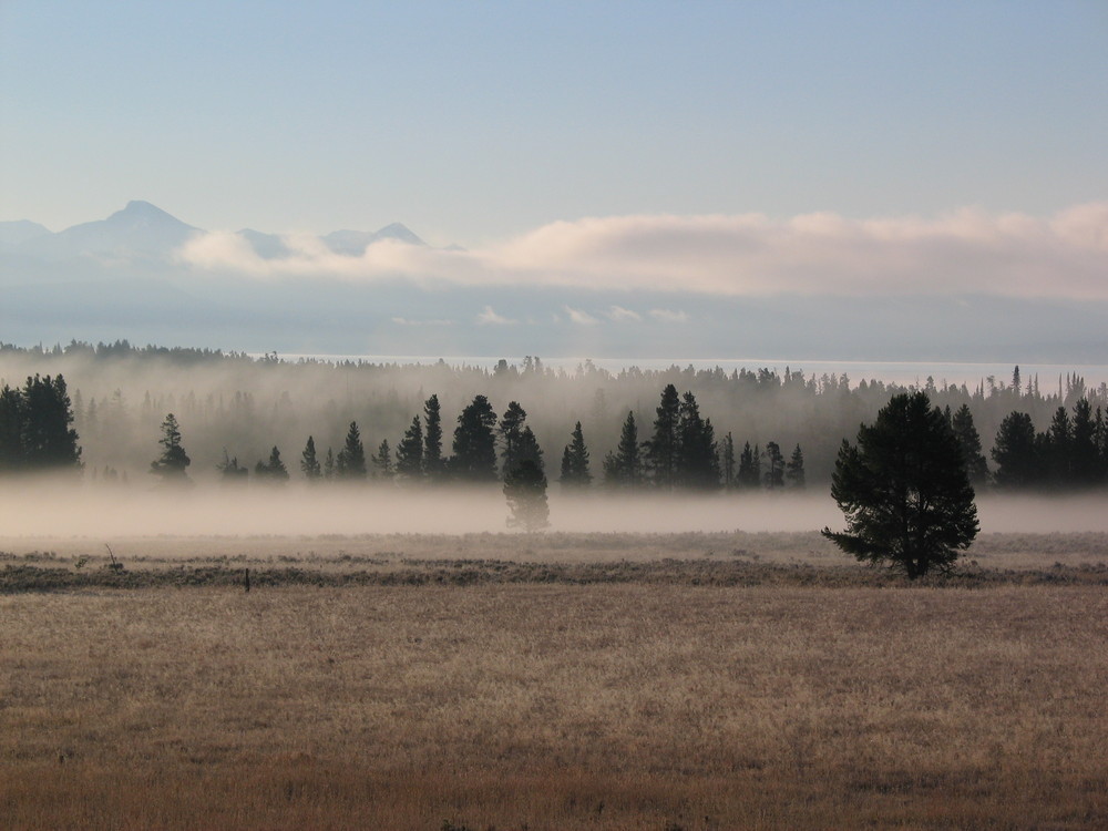 Oktobernebel im Yellowstone