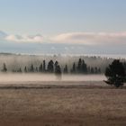 Oktobernebel im Yellowstone