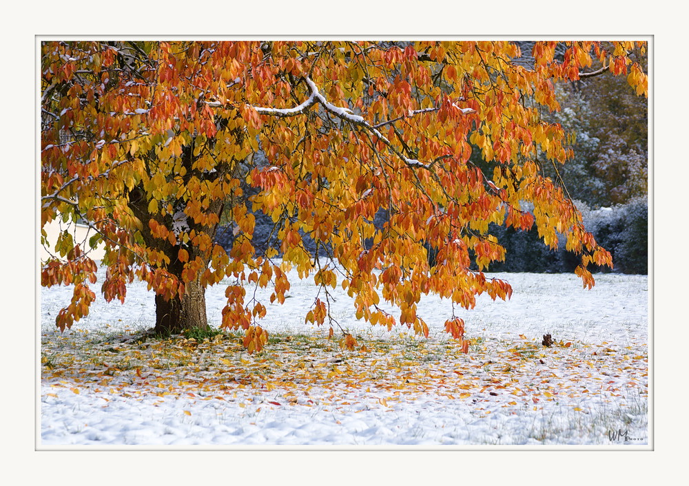 Oktoberschnee