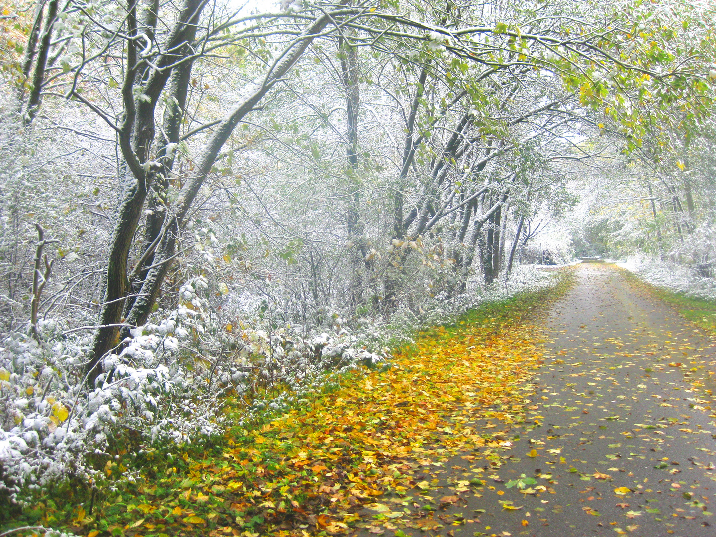 Oktoberschnee M.A: