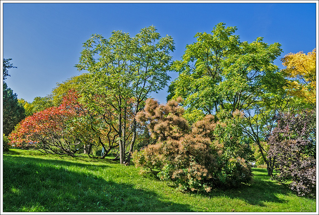 ~ Oktobersonne ~